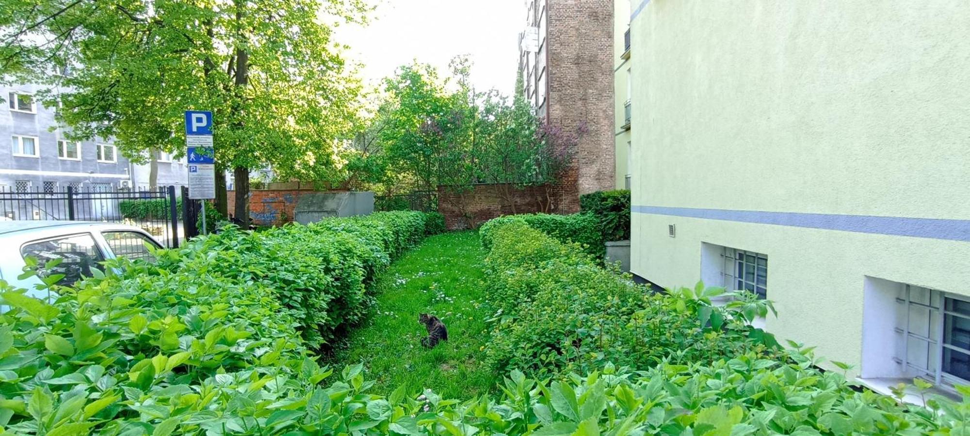 Katarzynka Gdansk Stare Miasto Exterior foto